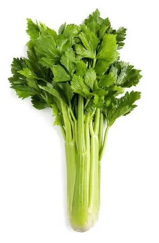 Celery;500gms