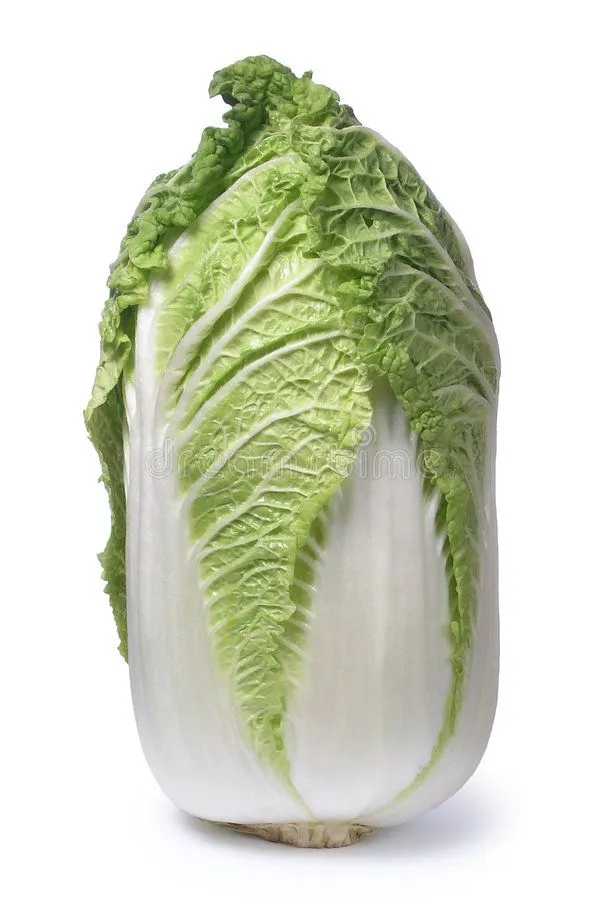 Chinese Cabbage/Pc