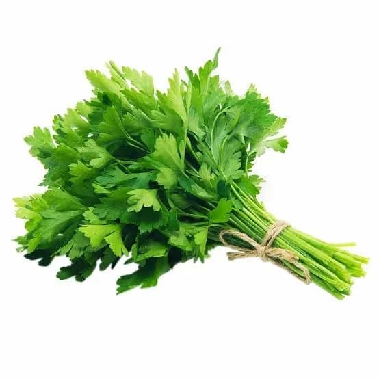 Flat Italian Parsely, bunch