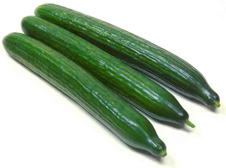 Cucumber English; 500gms