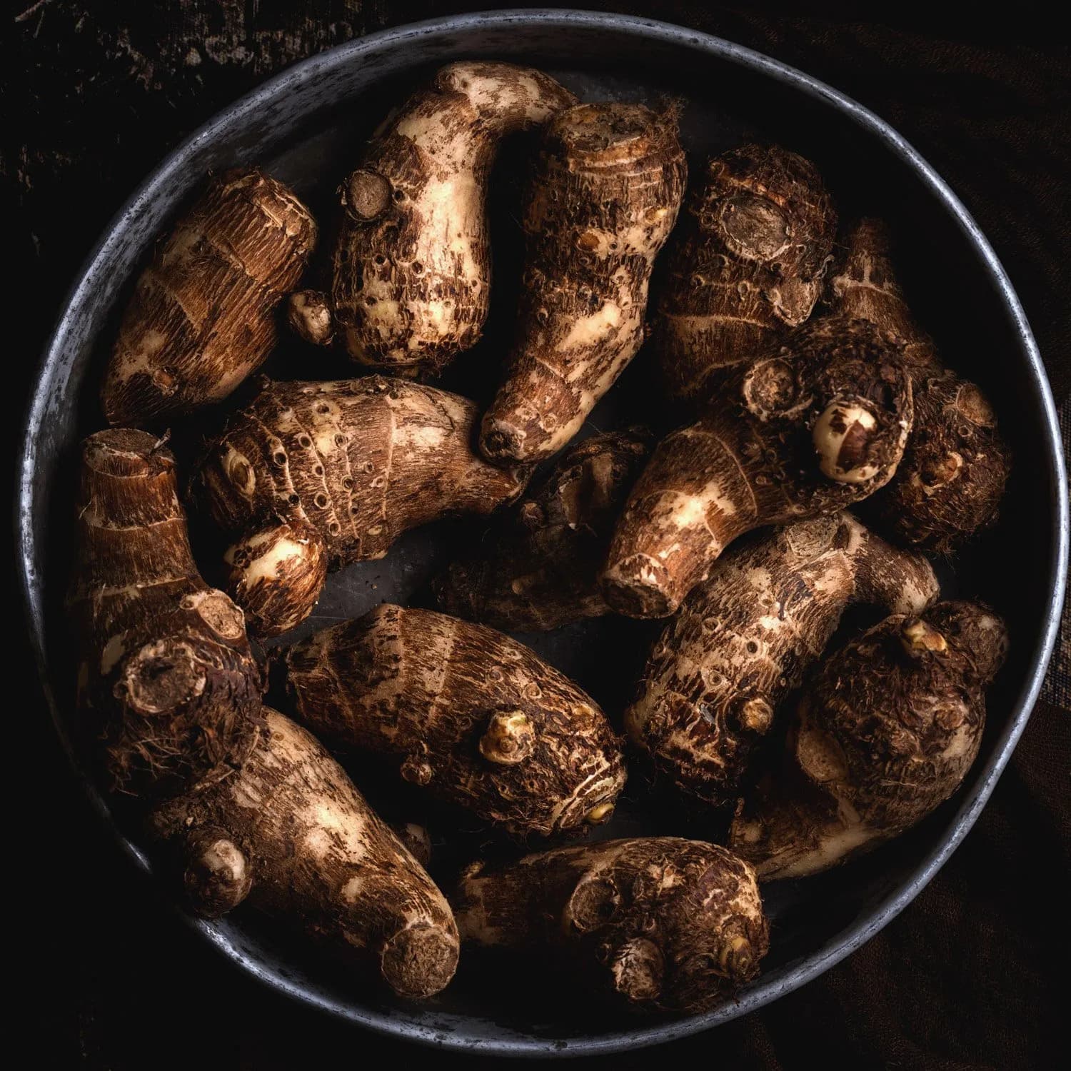 Arbi 500 GMS