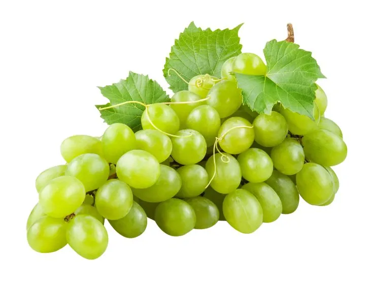 Imported Green Grapes /Punnet
