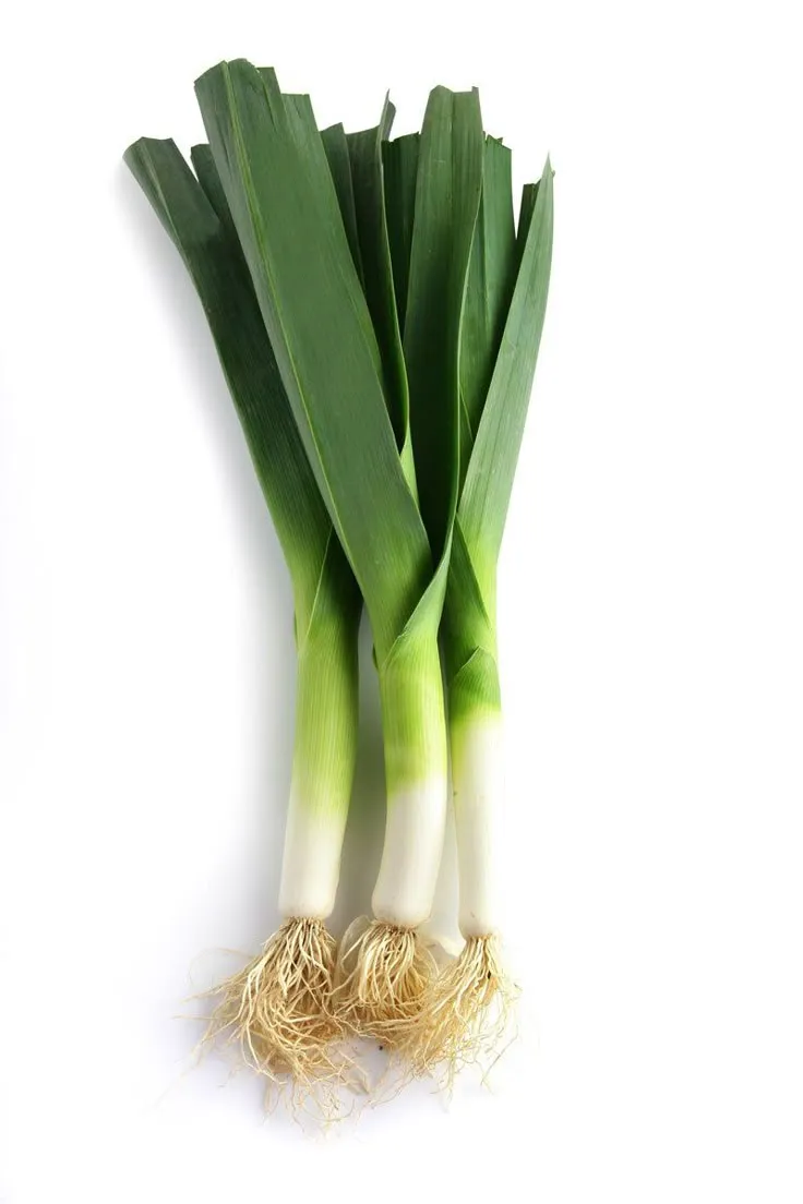 Leeks; 500gms