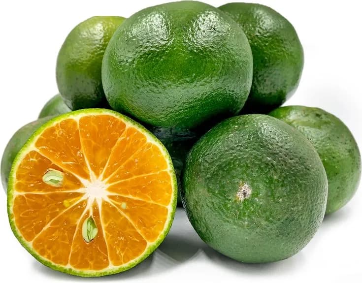 Local Oranges/pc