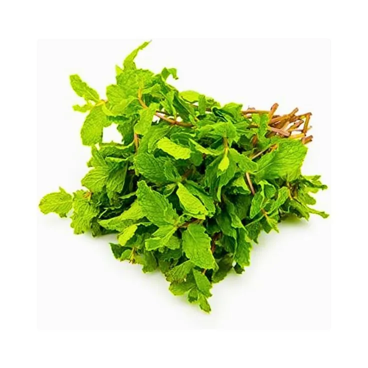 Mint leaves/Bunch