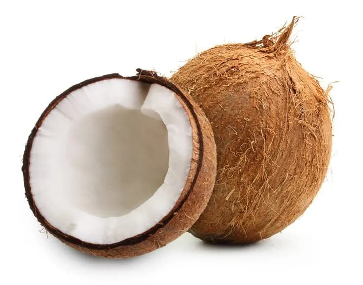 Mombasa Coconut /Pc