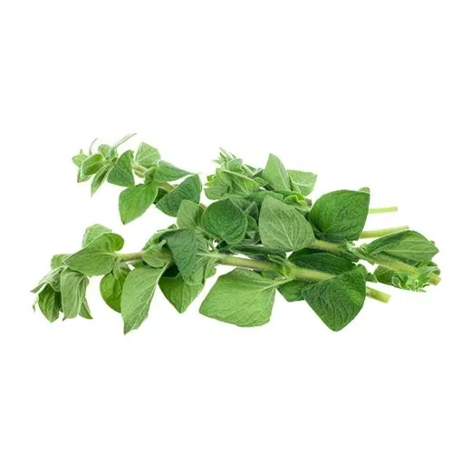 Oregano/Bunch