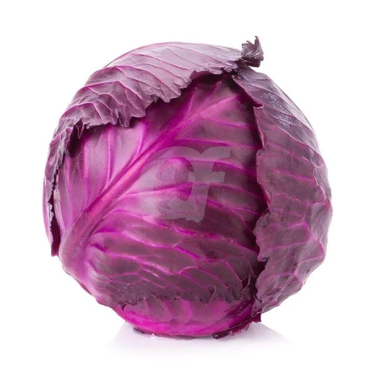 Red Cabbage;pc