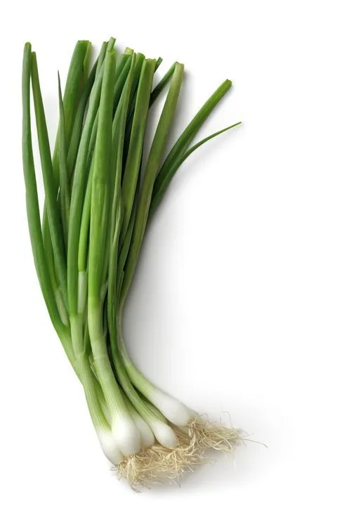 Spring Onions/ Pc