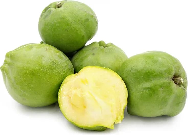 White Sapote (Golden Apple)