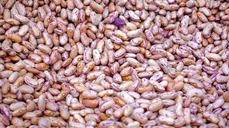 Nyayo Beans ,500gms
