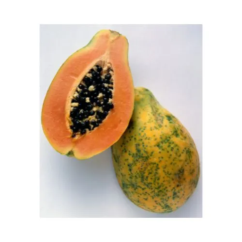 Paw paw / Papaya