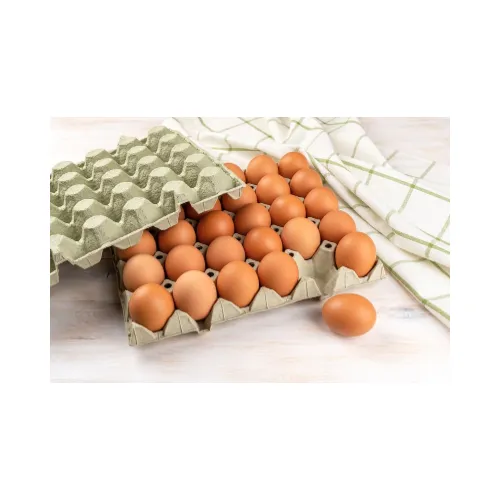 Tray of eggs