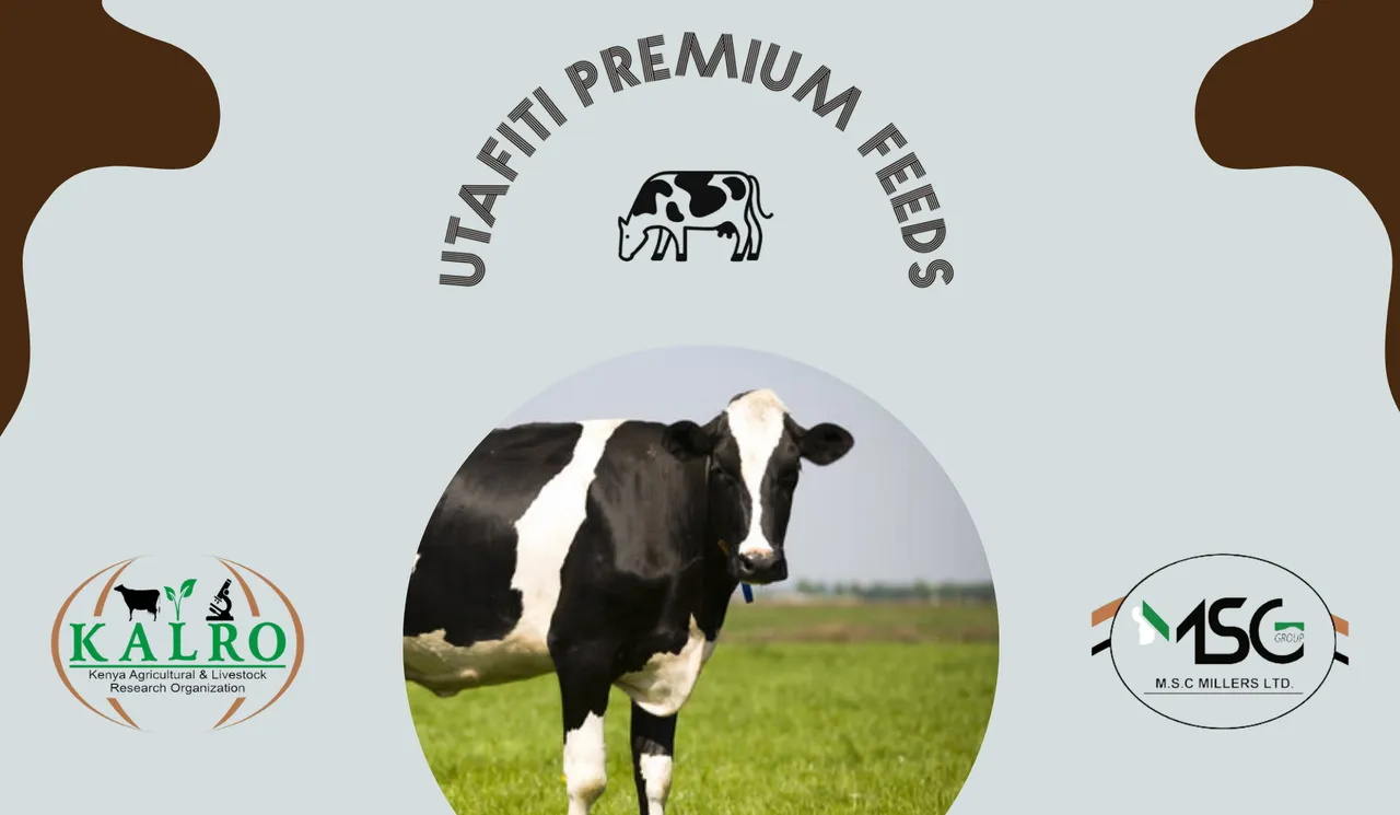 Dairy Meal 10kg