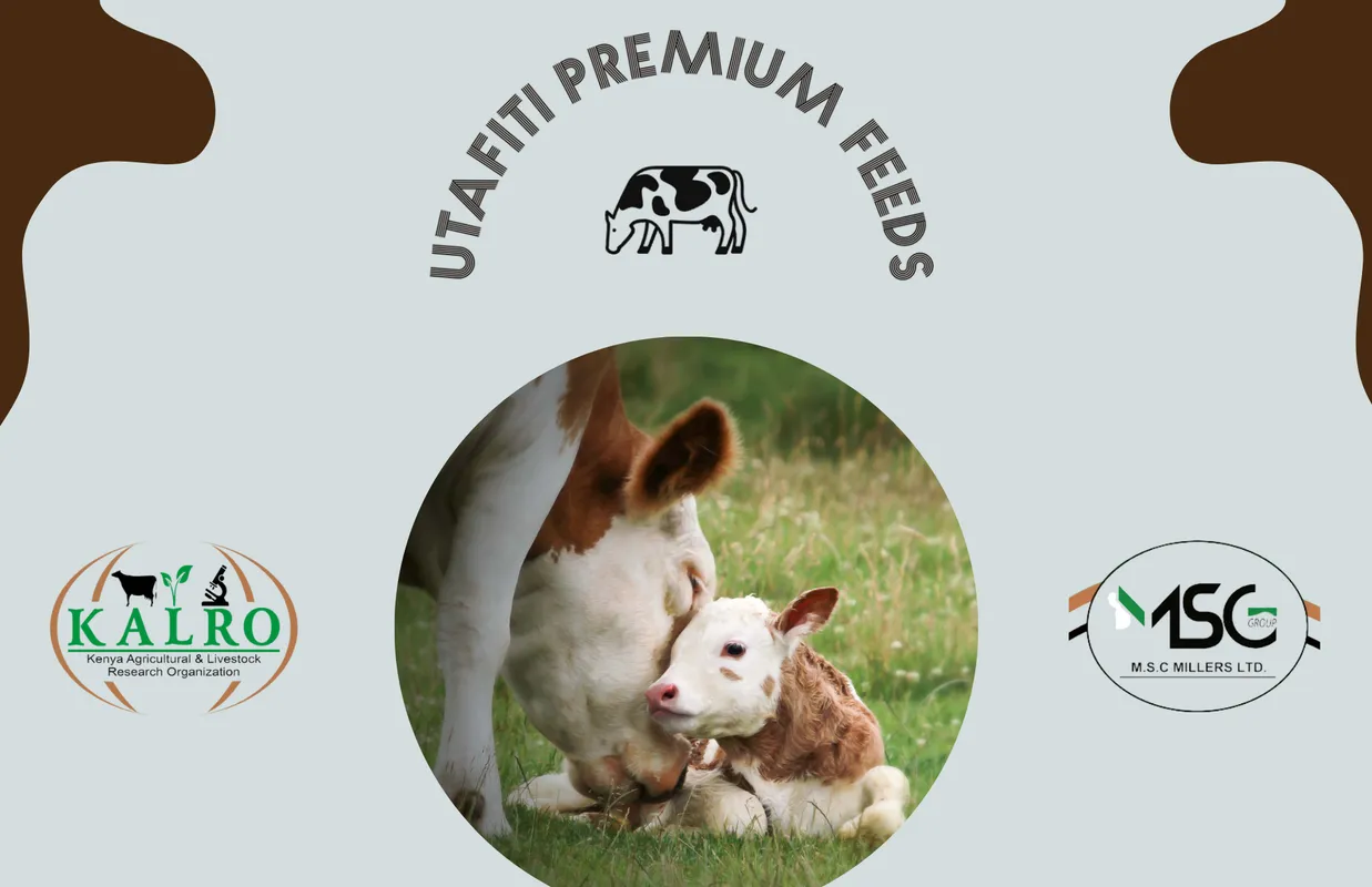 Calf Pellets 25kg