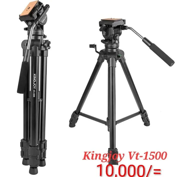King joy vt