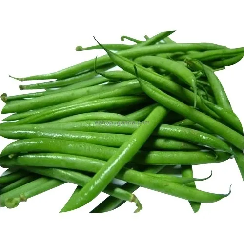 French beans / Mishiri