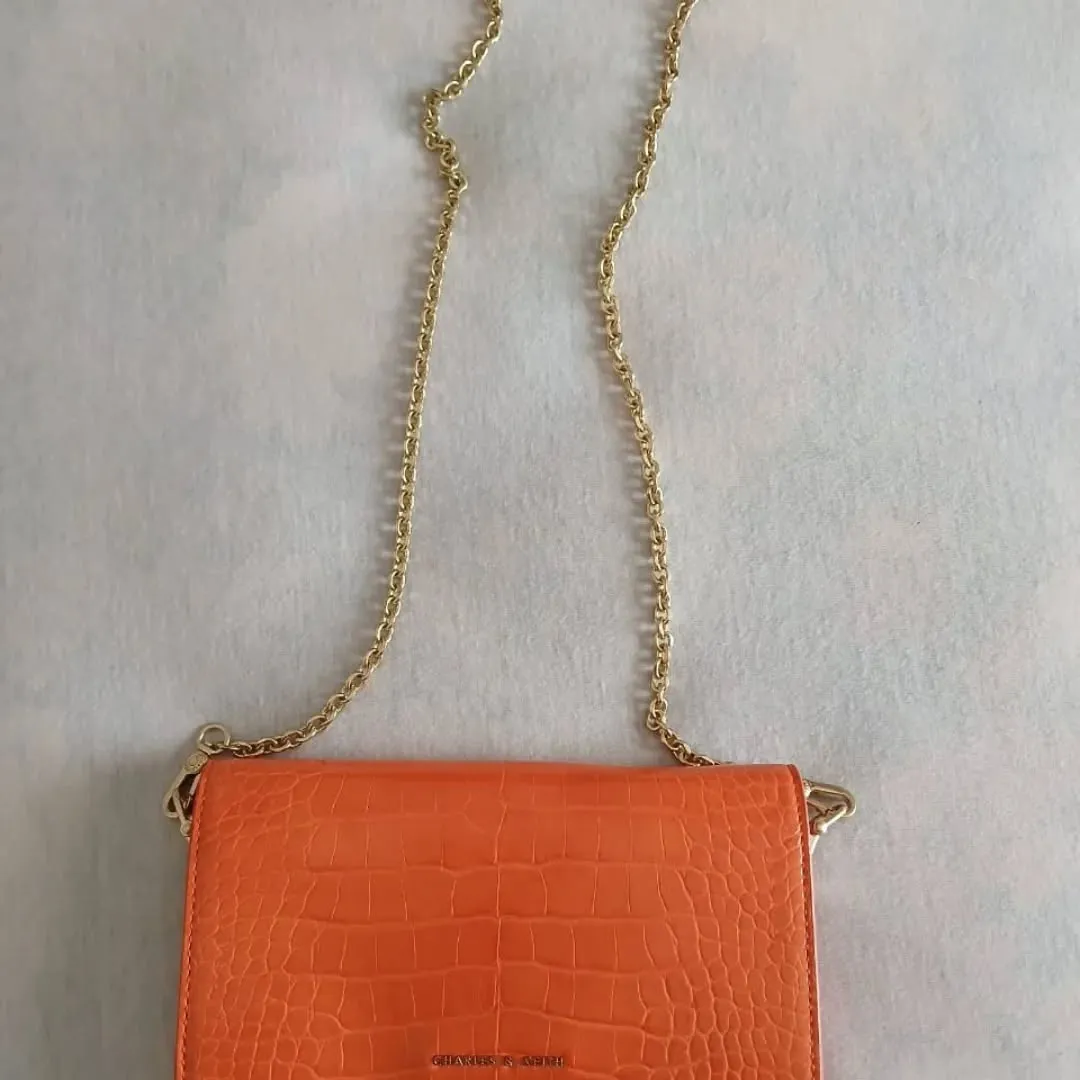 Charles & Keith Clutch Bag
