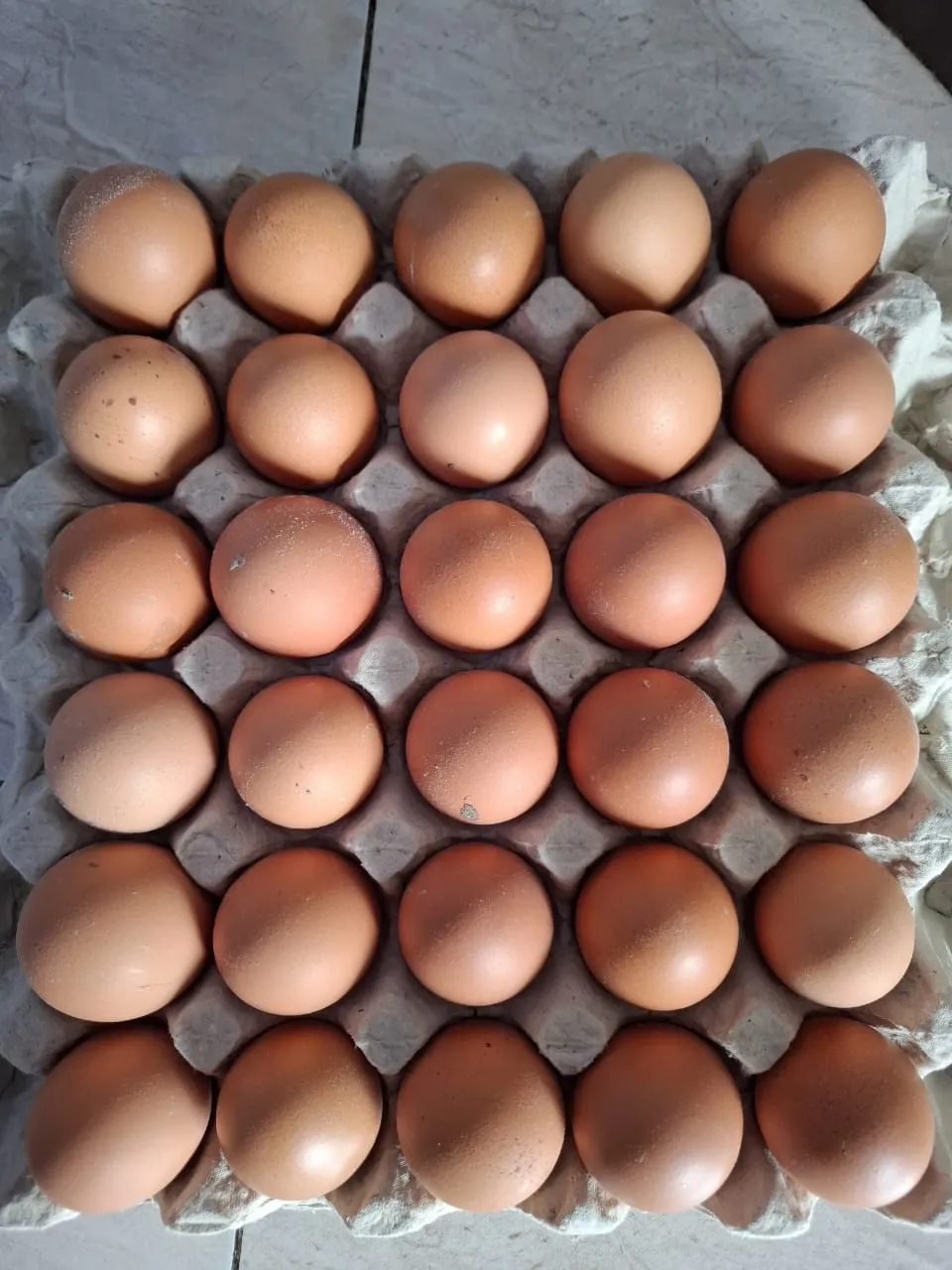 Eggs