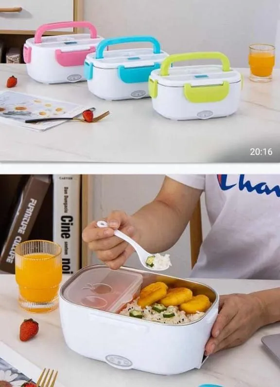 Electric lunch box