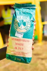 Tsavo Seed WE 4141 2kg Pack