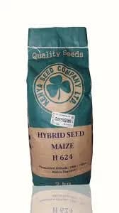 Kenya Seed Co H 624 2kg Pack