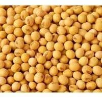 Yellow Soybeans per kg