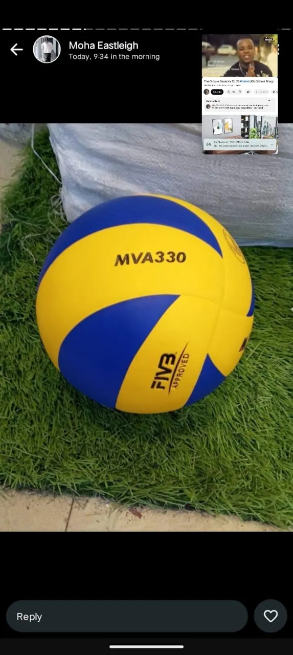Mikasa Volleyball Ball