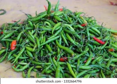 Green chilli