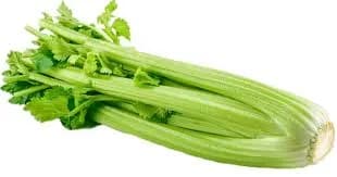 Celery