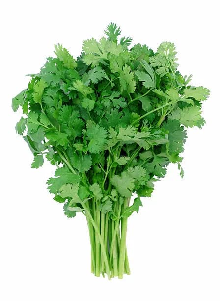 Coriander/Dhania