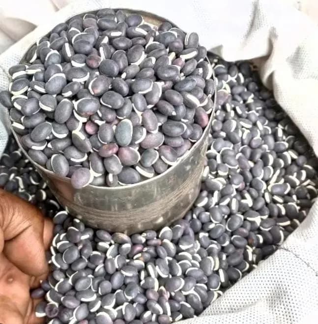 Njahi (Black Beans) (Per Kg)