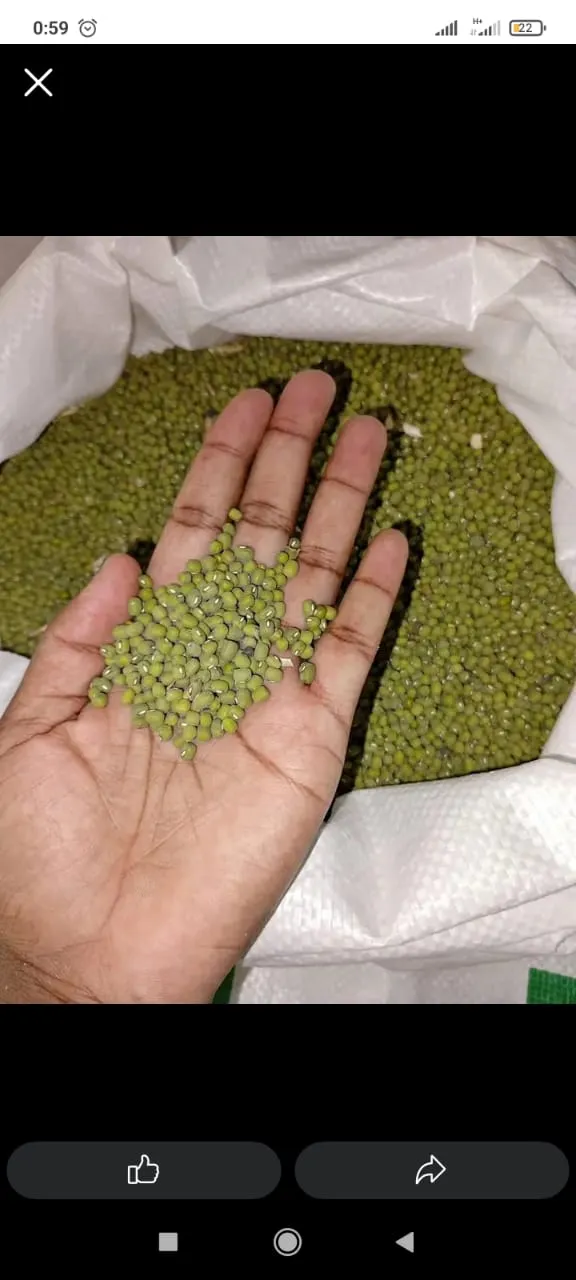 Ndengu (Green Grams) (Per Kg)