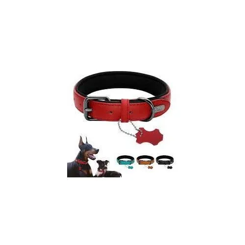 Padded Dog Collar