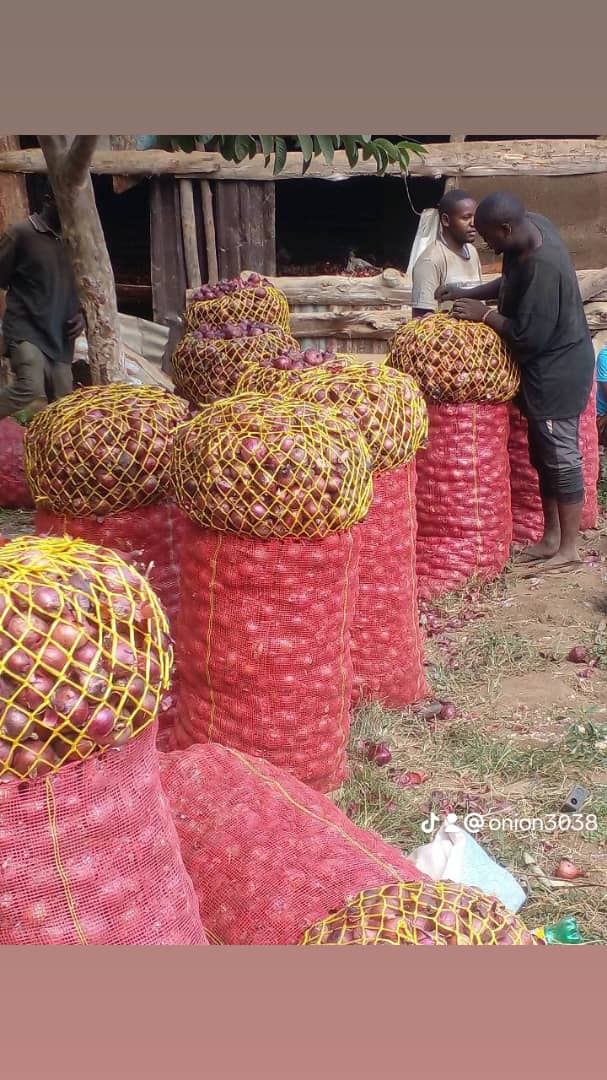 Fresh Red Onions (1 kg)